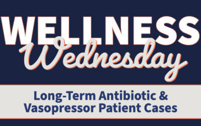 Long-Term Antibiotic & Vasopressor Patient Cases