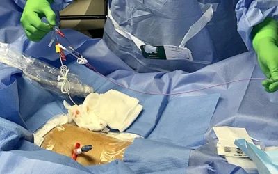 Numerous IV Medications for Complex Patient – Nurse Clinicians in Action – 41